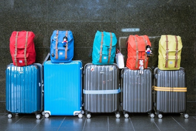 Дорожная сумка и чемодан: что лучше выбрать, обзор плюсов и минусов